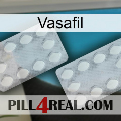 Vasafil 17